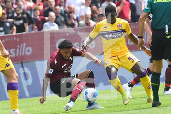 2022-04-24 - Ederson  (US Salernitana 1919) and  Jonatha Ikone (Ac Fiorentina ) in tackle for the ball during the Serie A 2021/22 match between US Salernitana 1919 and AC Fiorentina at Arechi Stadium - US SALERNITANA VS ACF FIORENTINA - ITALIAN SERIE A - SOCCER