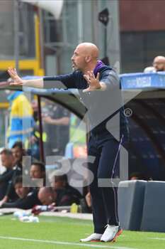 2022-04-24 - Vincenzo Italiano coach of Ac Fiorentina during the Serie A 2021/22 match between US Salernitana 1919 and AC Fiorentina at Arechi Stadium - US SALERNITANA VS ACF FIORENTINA - ITALIAN SERIE A - SOCCER