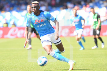 2022-04-30 - Victor Osimhen (SSC Napoli) in action during the Serie A 2021/22 match between SSC. Napoli and US Sassuolo Calcio at Diego Armando Maradona Stadium - SSC NAPOLI VS US SASSUOLO - ITALIAN SERIE A - SOCCER