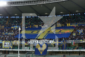 2022-05-08 - Hellas Verona FC fans - HELLAS VERONA FC VS AC MILAN - ITALIAN SERIE A - SOCCER