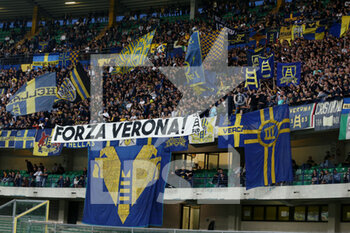 2022-05-08 - Hellas Verona FC fans - HELLAS VERONA FC VS AC MILAN - ITALIAN SERIE A - SOCCER