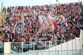 14/08/2022 - Cremonese supporters celebrating a gaol - ACF FIORENTINA VS US CREMONESE - SERIE A - CALCIO