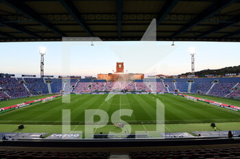 2022-09-01 - A View of Renato Dall'Ara Stadium in Bologna - BOLOGNA FC VS US SALERNITANA - ITALIAN SERIE A - SOCCER
