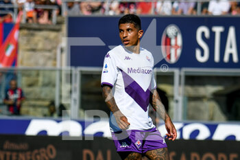 2022-09-11 - Fiorentina's Domilson Cordeiro dos Santos Dodo portrait - BOLOGNA FC VS ACF FIORENTINA - ITALIAN SERIE A - SOCCER