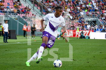 2022-09-11 - Fiorentina's Christian Kouamé portrait in action - BOLOGNA FC VS ACF FIORENTINA - ITALIAN SERIE A - SOCCER