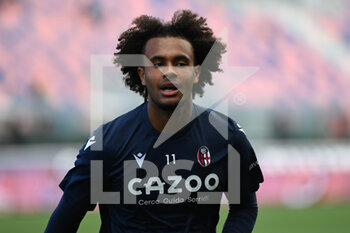 2022-09-17 - Joshua Zirkzee (Bologna FC) portrait - BOLOGNA FC VS EMPOLI FC - ITALIAN SERIE A - SOCCER
