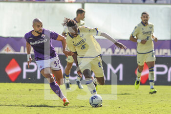 18/09/2022 - Adrien Tameze of Hellas Verona FC competes for the ball with Sofyan Amrabat of ACF Fiorentina  during ACF Fiorentina vs Hellas Verona, 7° Serie A Tim 2022-23 game at Artemio Franchi Stadium in Firenze (FI), Italy, on September 18, 2022. - ACF FIORENTINA VS HELLAS VERONA - SERIE A - CALCIO