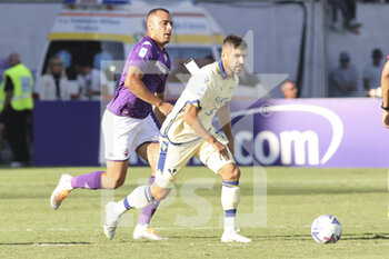 2022-09-18 - Miguel Veloso of Hellas Verona FC during ACF Fiorentina vs Hellas Verona, 7° Serie A Tim 2022-23 game at Artemio Franchi Stadium in Firenze (FI), Italy, on September 18, 2022. - ACF FIORENTINA VS HELLAS VERONA - ITALIAN SERIE A - SOCCER