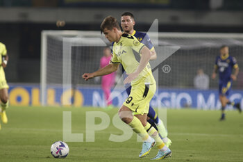 2022-10-03 - Jaka Bijol of Udinese FC play the ball during Hellas Verona vs Udinese FC, 8° Serie A Tim 2022-23 game at Marcantonio Bentegodi Stadium in Verona, Italy, on October 03, 2022. - HELLAS VERONA FC VS UDINESE CALCIO - ITALIAN SERIE A - SOCCER