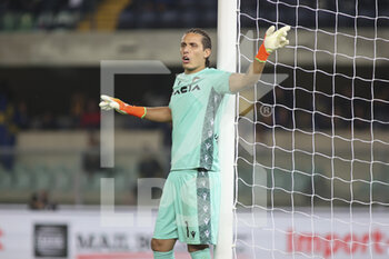 2022-10-03 - Marco Silvestri of Udinese FC gestures during Hellas Verona vs Udinese FC, 8° Serie A Tim 2022-23 game at Marcantonio Bentegodi Stadium in Verona, Italy, on October 03, 2022. - HELLAS VERONA FC VS UDINESE CALCIO - ITALIAN SERIE A - SOCCER