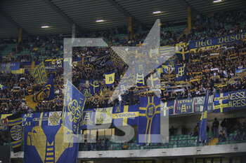 2022-10-03 - Hellas Verona fans show their support during Hellas Verona vs Udinese FC, 8° Serie A Tim 2022-23 game at Marcantonio Bentegodi Stadium in Verona, Italy, on October 03, 2022. - HELLAS VERONA FC VS UDINESE CALCIO - ITALIAN SERIE A - SOCCER