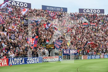 2022-10-23 - Bologna FC supporters - BOLOGNA FC VS US LECCE - ITALIAN SERIE A - SOCCER