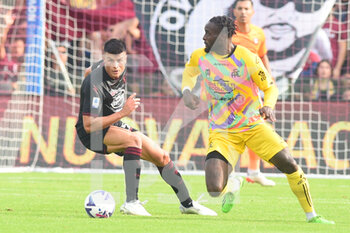 2022-10-22 - M'Bala Nzola of Spezia Calcio  and Frederic Veseli of US Salernitana competes for the ball with  during the Serie A match between US Salernitana 1919 and Spezia Calcio  at Stadio Arechi   - US SALERNITANA VS SPEZIA CALCIO - ITALIAN SERIE A - SOCCER