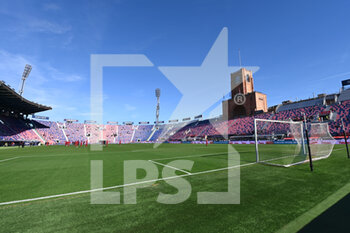 2022-11-06 - A view of Bologna FC stadium Renato Dall'Ara - BOLOGNA FC VS TORINO FC - ITALIAN SERIE A - SOCCER