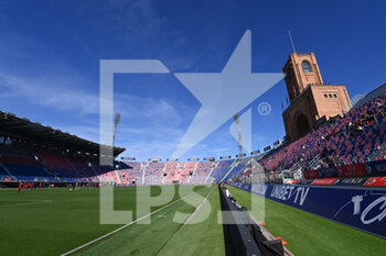 2022-11-06 - a view of Bologna FC stadiu Renato Dall'Ara - BOLOGNA FC VS TORINO FC - ITALIAN SERIE A - SOCCER