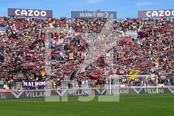2022-11-06 - Bologna FC supporters - BOLOGNA FC VS TORINO FC - ITALIAN SERIE A - SOCCER