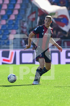 2022-11-06 - Lewis Ferguson (Bologna FC) in action - BOLOGNA FC VS TORINO FC - ITALIAN SERIE A - SOCCER