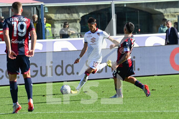 2022-11-06 - Sasa Lukic (Torino FC) in action - BOLOGNA FC VS TORINO FC - ITALIAN SERIE A - SOCCER