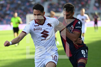 2022-11-06 - Sasa Lukic (Torino FC) and Nicolas Dominguez (bologna Fc) in action - BOLOGNA FC VS TORINO FC - ITALIAN SERIE A - SOCCER