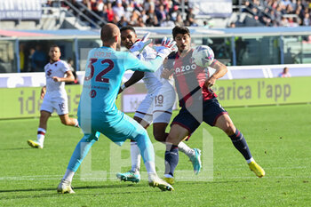 2022-11-06 - Riccardo Orsolini (Bologna Fc)  in action - BOLOGNA FC VS TORINO FC - ITALIAN SERIE A - SOCCER