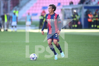 2022-11-06 - Emanuel Vignato (Bologna FC) in action - BOLOGNA FC VS TORINO FC - ITALIAN SERIE A - SOCCER