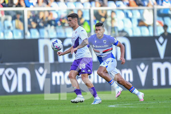 2022-11-06 - Lucas Martinez Quarta (Fiorentina) - Daniele Montevago (Sampdoria) - UC SAMPDORIA VS ACF FIORENTINA - ITALIAN SERIE A - SOCCER