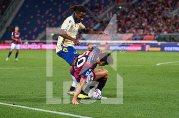 2022-08-21 - Bologna's Andrea Cambiaso in action with Hellas Verona's Adrien Tameze - BOLOGNA FC VS HELLAS VERONA - ITALIAN SERIE A - SOCCER