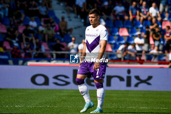 2022-09-11 - Fiorentina's Luka Jovic portrait - BOLOGNA FC VS ACF FIORENTINA (PORTRAITS ARCHIVE) - ITALIAN SERIE A - SOCCER