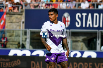 2022-09-11 - Fiorentina's Domilson Cordeiro dos Santos Dodo portrait - BOLOGNA FC VS ACF FIORENTINA (PORTRAITS ARCHIVE) - ITALIAN SERIE A - SOCCER