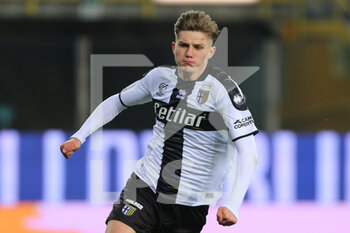 2022-03-11 - Adrian Benedyczak of PARMA CALCIO looks on during the Serie B match between Parma Calcio and AS Cittadella at Ennio Tardini on March 11, 2022 in Parma, Italy. - PARMA CALCIO VS AS CITTADELLA - ITALIAN SERIE B - SOCCER