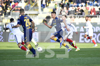 Frosinone Calcio vs US Alessandria - ITALIAN SERIE B - SOCCER