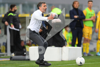 2022-04-09 - FROSINONE, ITALY - March 9 : Head Coach Fabio Pecchia of Cremonese gestures during  Italian  Serie B soccer match between  Frosinone and Cremonese at Stadio Benito Stirpe on March 9,2022  in Frosinone Italy - FROSINONE CALCIO VS US CREMONESE - ITALIAN SERIE B - SOCCER