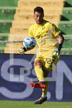 2022-10-08 - Mirko Pigliacelli (Palermo) - TERNANA CALCIO VS PALERMO FC - ITALIAN SERIE B - SOCCER