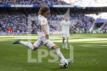 2022-09-03 - 03.09.2022, Madrid, Spain. Luka Modric of Real Madrid CF looks to pass the ball during the LaLiga Santander match between Real Madrid CF and Real Betis at Santiago Bernabeu on 3 September 2022 in Madrid, Spain. - LALIGA SANTANDER 2021/2023- REAL MADRID VS REAL BETIS - SPANISH LA LIGA - SOCCER