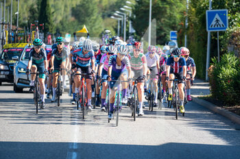 2022-09-12 - Peloton during the TCFIA 2022, Tour Cycliste Feminin International de L'Ardeche, Stage 7, Vesseaux - Privas (121 Km) on September 12, 2022 in Privas, France - CYCLING - TCFIA 2022 - STAGE 7 - STREET - CYCLING