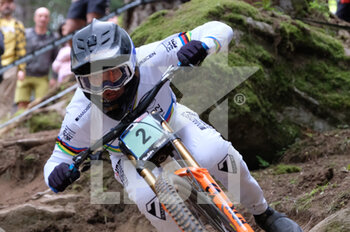 03/09/2022 - Jordan Williams (GBR) during UCI Mountain Bike World Cup in Val di Sole 2022 - Junior Men Downhill race category - September 3, 2022. Italy - UCI MOUNTAIN BIKE WORLD - VAL DI SOLE 2022 - JUNIOR MEN AND WOMAN RACE - MTB - MOUNTAIN BIKE - CICLISMO
