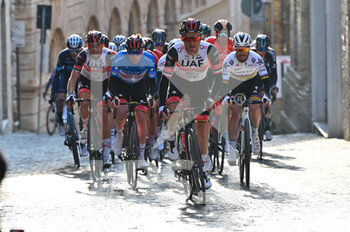 2022-03-11 - Passage of the group - TAPPA 5 - SEFRO-FERMO - TIRRENO - ADRIATICO - CYCLING