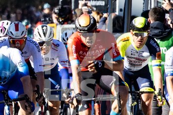 2022-03-13 - Phil Bauhaus of Germany and Team Bahrain Victorious celebrates at finish line as stage winner ahead of Alberto Dainese of Italy and Team DSM (L) and Giacomo Nizzolo of Italy and Team Israel - Premier Tech (R)during the 57th Tirreno-Adriatico 2022 - Stage 7 a 159km stage from San Benedetto del Tronto to San Benedetto del Tronto / #TirrenoAdriatico / #WorldTour / on March 13, 2022 in San Benedetto del Tronto, Italy. ©Photo: Cinzia Camela. - 7^ TAPPA SAN BENEDETTO DEL TRONTO - TIRRENO - ADRIATICO - CYCLING
