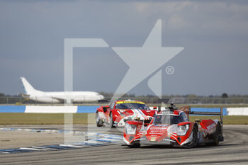 2022-03-16 - 31 GELAEL Sean (idn), FRIJNS Robin (nld), RAST René (ger), WRT, Oreca 07 - Gibson, action , during the 1000 Miles of Sebring, 1st round of the 2022 FIA World Endurance Championship on the Sebring International Raceway from March 16 to 18, in Sebring, Florida, United States of America - 1000 MILES OF SEBRING, 1ST ROUND OF THE 2022 FIA WORLD ENDURANCE CHAMPIONSHIP - ENDURANCE - MOTORS
