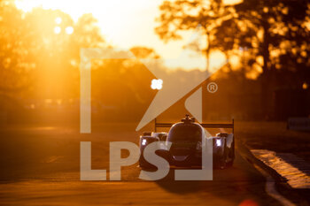 2022-03-17 - 28 RASMUSSEN Oliver (dnk), JONES Edward (gbr), ABERDEIN Jonathan (zaf), JOTA, Oreca 07 - Gibson, action during the 1000 Miles of Sebring, 1st round of the 2022 FIA World Endurance Championship on the Sebring International Raceway from March 16 to 18, in Sebring, Florida, United States of America - 1000 MILES OF SEBRING, 1ST ROUND OF THE 2022 FIA WORLD ENDURANCE - ENDURANCE - MOTORS