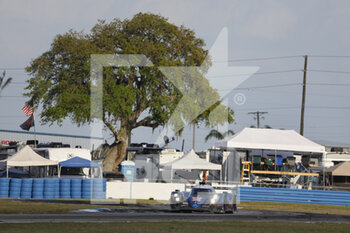 2022-03-18 - 36 NEGRAO André (bra), LAPIERRE Nicolas (fra), VAXIVIERE Matthieu (fra), Alpine Elf Team, Alpine A480 - Gibson, action , during the 1000 Miles of Sebring, 1st round of the 2022 FIA World Endurance Championship on the Sebring International Raceway from March 16 to 18, in Sebring, Florida, United States of America - 1000 MILES OF SEBRING, 1ST ROUND OF THE 2022 FIA WORLD ENDURANCE CHAMPIONSHIP - ENDURANCE - MOTORS