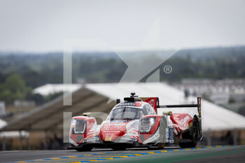 2022-06-09 - 31 GELAEL Sean (idn), FRIJNS Robin (nld), RAST René (ger), WRT, Oreca 07 - Gibson, action during the free practices and qualifying sessions of the 2022 24 Hours of Le Mans, 3rd round of the 2022 FIA World Endurance Championship, on the Circuit de la Sarthe, from June 8 to 12, 2022 in Le Mans, France - 24 HEURES DU MANS 2022 - FREE PRACTICES AND QUALIFYING - PART 2 - ENDURANCE - MOTORS