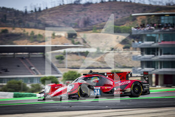 2022-10-16 - 34 AITKEN Jack (gbr), EASTWOOD Charlie (irl), YOLUC Salih (tur), Racing Team Turkey, Oreca 07 - Gibson, action during the 4 Hours of Portimao 2022, 6th round of the 2022 European Le Mans Series on the Algarve International Circuit from October 14 to 16, in Portimao, Portugal - AUTO - ELMS - 4 HOURS OF PORTIMAO 2022 - ENDURANCE - MOTORS