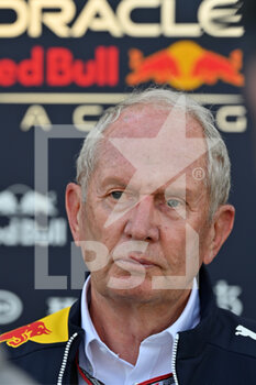 2022-03-17 - MATESCHITZ Dietrich (aut), Red Bull CEO, portrait during the Formula 1 Gulf Air Bahrain Grand Prix 2022, 1st round of the 2022 FIA Formula One World Championship, on the Bahrain International Circuit, from March 18 to 20, 2022 in Sakhir, Bahrain - FORMULA 1 GULF AIR BAHRAIN GRAND PRIX 2022, 1ST ROUND OF THE 2022 FIA FORMULA ONE WORLD CHAMPIONSHIP - FORMULA 1 - MOTORS