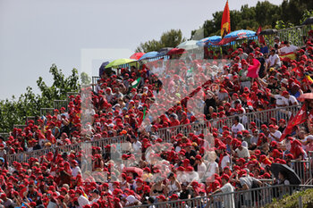 2022-05-22 - Carlos Sainz (SPA) Ferrari F1-75 Supporters - FORMULA 1 PIRELLI GRAN PREMIO DE ESPAÑA 2022 RACE  - FORMULA 1 - MOTORS
