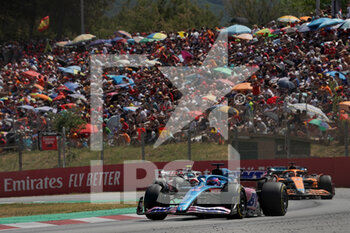 2022-05-22 - Fernando Alonso (SPA) Alpine A522 - FORMULA 1 PIRELLI GRAN PREMIO DE ESPAÑA 2022 RACE  - FORMULA 1 - MOTORS