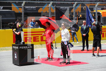 2022-05-22 - Fernando Alonso (SPA) Alpine A522 - FORMULA 1 PIRELLI GRAN PREMIO DE ESPAÑA 2022 RACE  - FORMULA 1 - MOTORS