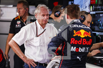 2022-05-27 - MARKO Helmut (aut), Drivers’ Manager of Red Bull Racing, portrait VERSTAPPEN Max (ned), Red Bull Racing RB18, portrait during the Formula 1 Grand Prix de Monaco 2022, 7th round of the 2022 FIA Formula One World Championship, on the Circuit de Monaco, from May 27 to 29, 2022 in Monte-Carlo, Monaco - F1 - MONACO GRAND PRIX 2022 - FORMULA 1 - MOTORS