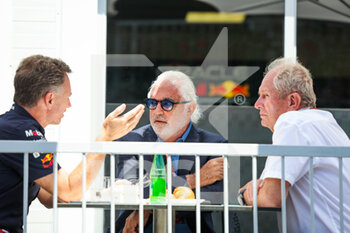2022-06-10 - BRIATORE Flavio, HORNER Christian (gbr), Team Principal of Red Bull Racing, MARKO Helmut (aut), Drivers’ Manager of Red Bull Racing, portrait during the Formula 1 Azerbaijan Grand Prix 2022, 8th round of the 2022 FIA Formula One World Championship, on the Baku City Circuit, from June 10 to 12, 2022 in Baku, Azerbaijan - F1 - AZERBAIJAN GRAND PRIX 2022 - FORMULA 1 - MOTORS
