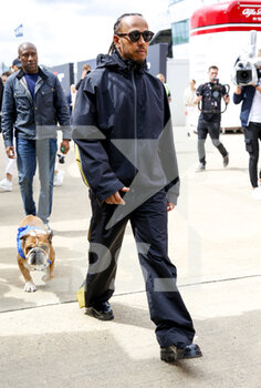 2022-07-01 - HAMILTON Lewis (gbr), Mercedes AMG F1 Team W13, portrait with his dog Roscoe in the paddock during the Formula 1 Lenovo British Grand Prix 2022, 10th round of the 2022 FIA Formula One World Championship, on the Silverstone Circuit, from July 1 to 3, 2022 in Silverstone, United Kingdom - F1 - BRITISH GRAND PRIX 2022 - FORMULA 1 - MOTORS